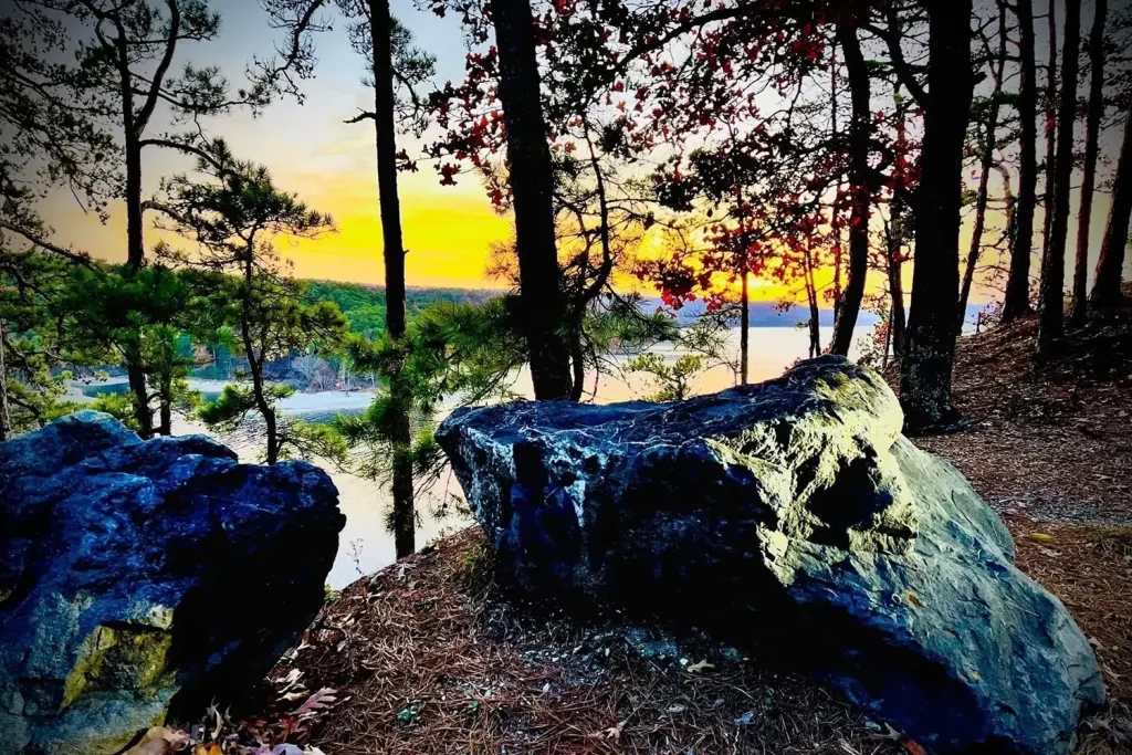 Large rocks and tall trees frame a vibrant sunset over a lake, with golden and orange light shining through the branches. Pine needles cover the forest ground in the foreground—a perfect setting for those seeking peaceful moments among nature while exploring things to do in Hot Springs AR.